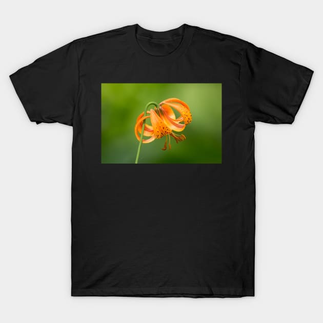 Tiger Lily T-Shirt by EugeJ